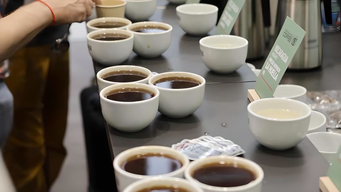 Kávové dobrodružství v Kodani: Naši pražiči na World of Coffee 2024