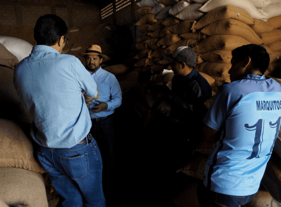 Farma Guatemala Finca Huixoc Geisha